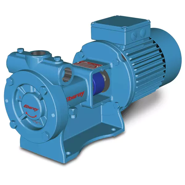 blackmer-rc25-lpg-regenerative-turbine-pump-motor