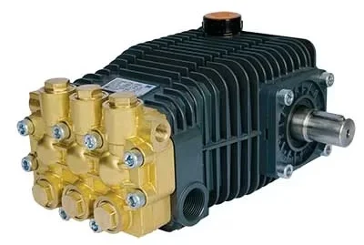 Bertolini RAL Premium Pump