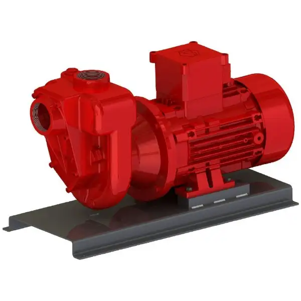 Electric drive transfer pumps