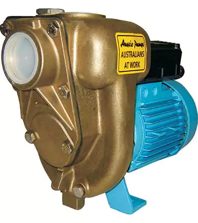 GMP Corrosion Resistant Transfer Pumps