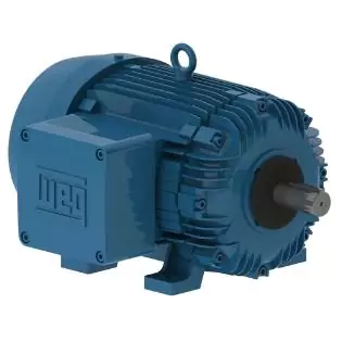 WEG Electric Motor
