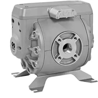 1½” Pneumatic Double Diaphragm Pump, DF250, 