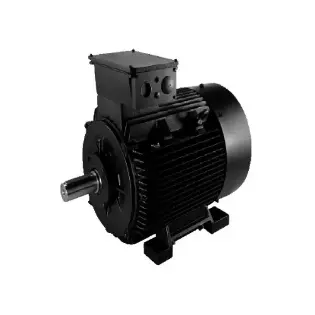 Grundfos standard motors